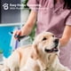 thumbnail image 5 of BOSHEL Peine Deslanador para Perros - Cepillo de Aseo para Perros de Doble Cara con Cuchillas Redondeadas de Acero Inoxidable Seguras - Peine Deslanador para Perros y Gatos, 5 of 8