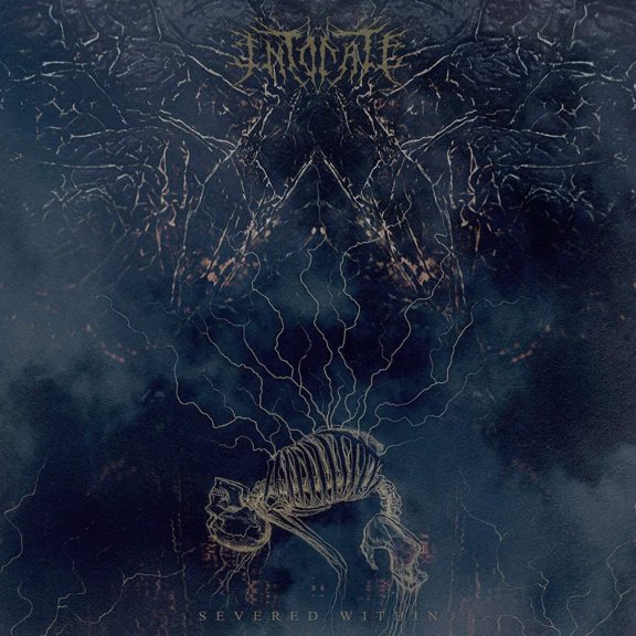 Intonate - Severed WIthin - Music & Performance - CD