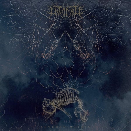 Intonate - Severed WIthin - Music & Performance - CD