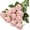 Blush, variant on Princess Silk Rose Flowers Long Stem Artificial Melaleuca Rose Flower for Home Wedding Decor, Pack of 10 (Blush)