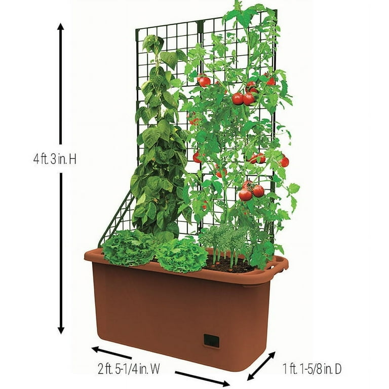 Self Watering Vegetable Planter Box with Trellis on Wheels - Mobile Garden Self Watering Vegetable Planter Box with Trellis on Wheels - Mobile Garden