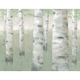 thumbnail image 2 of Wiens, James 24x20 Gold Ornate Wood Framed with Double Matting Museum Art Print Titled - Spring Birch, 2 of 4