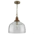 thumbnail image 7 of 14 Inch 1 Light Pendant In Urban/Industrial Style 14 High By 15.5 Wide-Grey Wash/Iron Silk Finish    -Traditional Installation Capital Lighting, 7 of 7