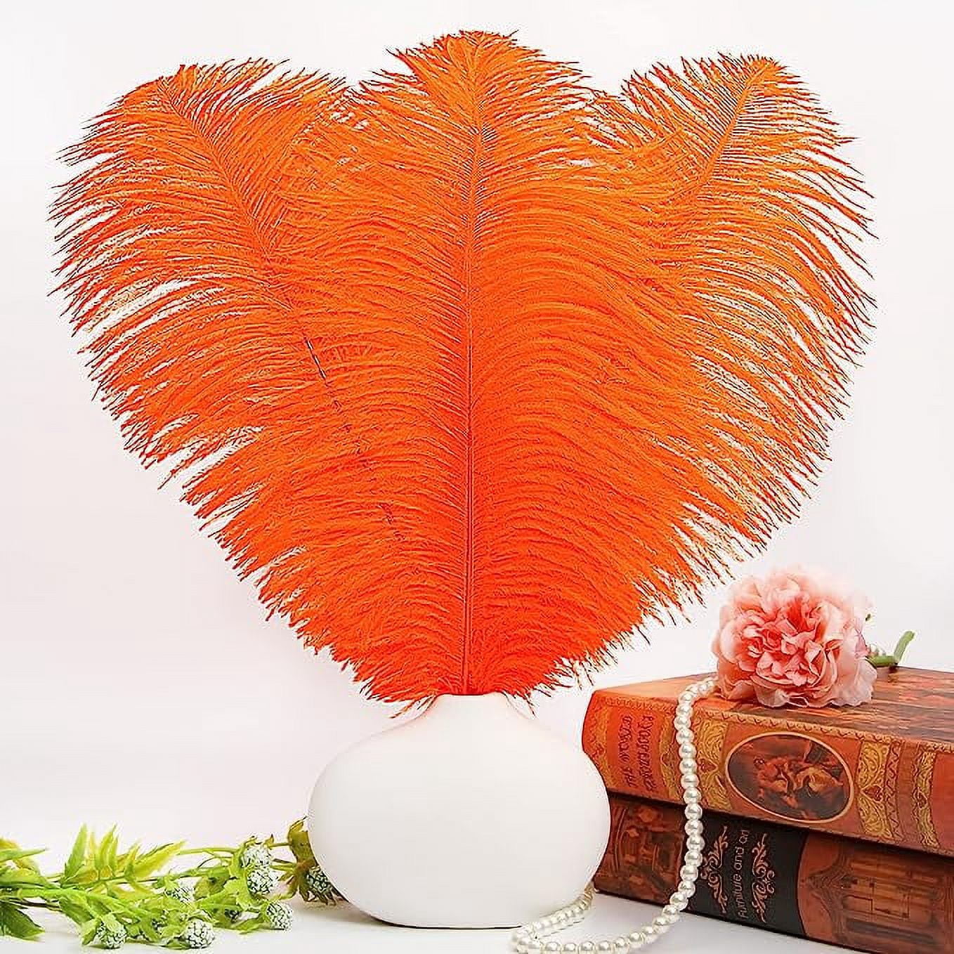 Zhuge Orange Ostrich Feathers 12pcs Large Natural Bulk 12-14Inch 30cm-35cm for Wedding Party Centerpieces Easter Gatsby and Home Decoration Feathers