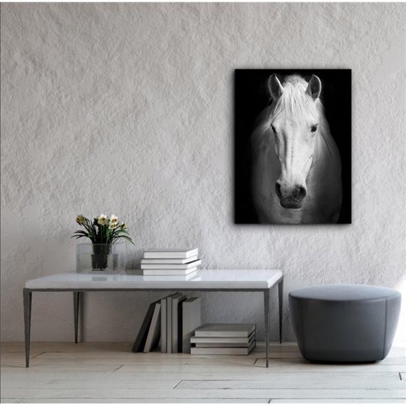 Artful Printers C-20302122 Art sur Toile de Photographie Visage de Cheval Blanc, 20 x 30 Po