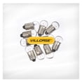 thumbnail image 4 of 10 Pcs E10 Small Electric Light Bulbs 2.5V 0.3A for Student Physics Experiments, 4 of 8