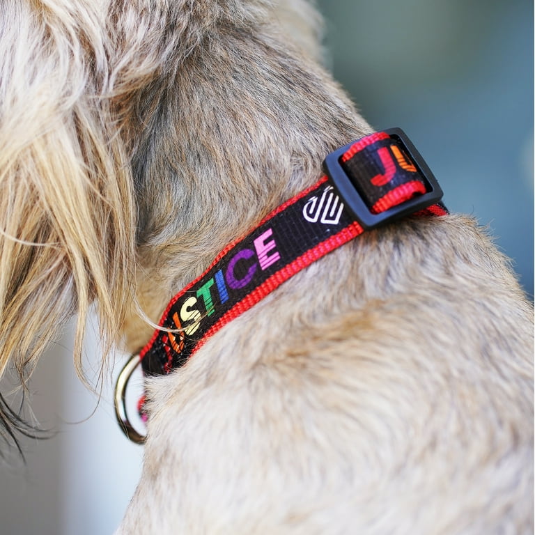Justice Pet Pet Collar Justice Logo Collar For Extra Small Sized Dogs For Dogs With 8 12 Inch Neck Size For Dogs Up To 10 Pounds Size Extra Small