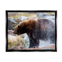 Stupell Industries Bear Bathing In Stream Photography Animals & Insects Photography Black Floater Framed Art Print Wall Art