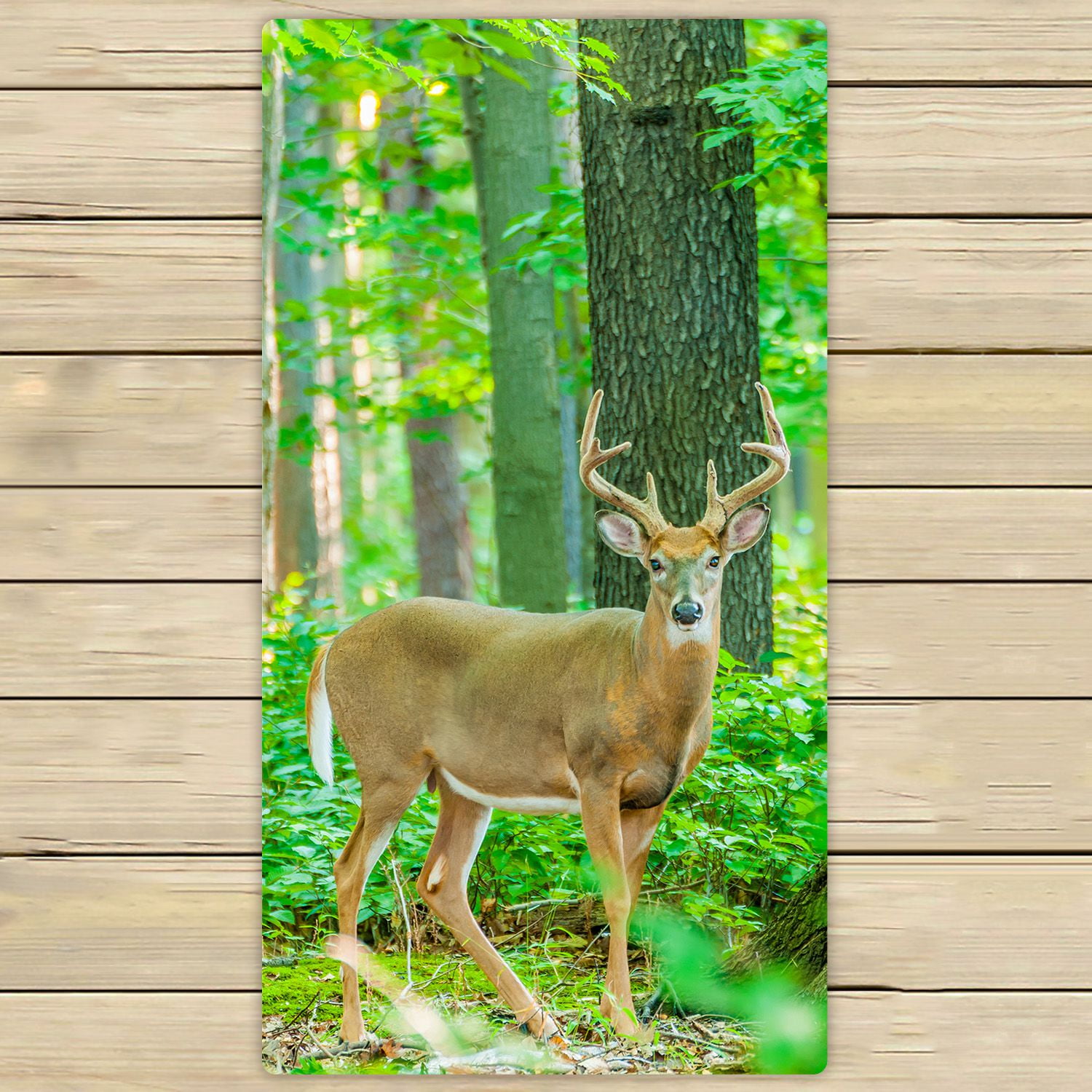 PHFZK Woodland Towel, Whitetail Deer in the Jungle Hand Towel Bath