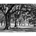 thumbnail image 2 of Maihara/Watt, Jeff/Boyce 32x26 Gold Ornate Wood Framed with Double Matting Museum Art Print Titled - Oak Grove II, 2 of 4
