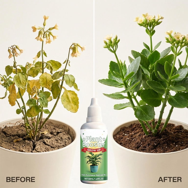cactus succulent soil mix Cactus and Succulent Soil Mix – Custom Soil Blend – Potting Mix for Cacti and Succulents – Specially Developed by and for Professional Nursery Growers main image 1