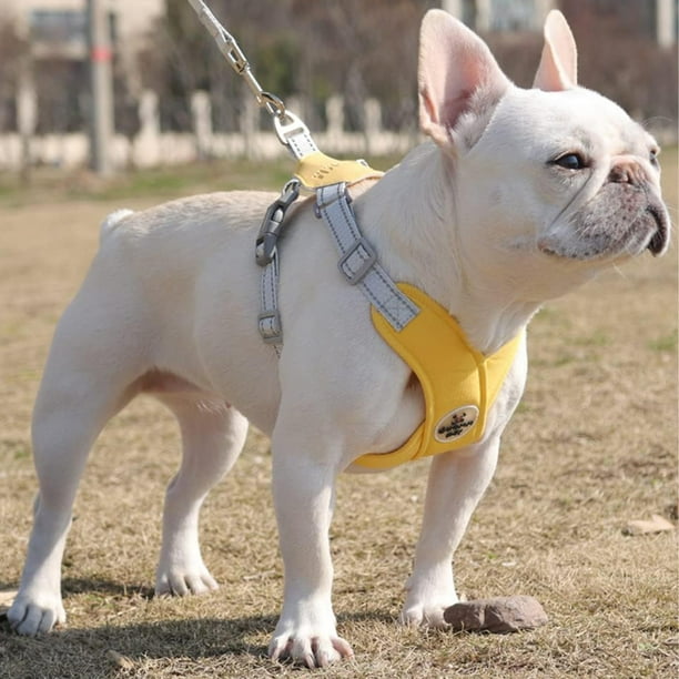 Dog Harness Pet X Frame No Pull Step in Harnesses with Leash Set Adjustable Reflective Choke Free Puppy Yellow