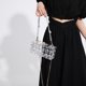 thumbnail image 3 of Bolsa A Cuestas Bolsa De Asas De Cadena De Viajero Transparente A La Moda Tejida Acrílica Femenina (1861) Ndcxsfigh Para Estrenar, 3 of 7