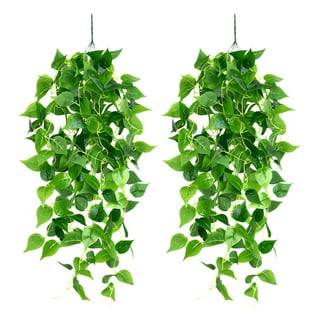 CEWOR 2pcs Artificial Hanging Plants 3.6ft Fake Ivy Vine Fake Ivy Leaves  for Wall Home Room Garden Wedding Garland Outside