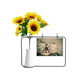 thumbnail image 1 of Gafas Cat fotografía disparar animales Tarjeta de bendición de jarrón de girasol artificial, 1 of 3