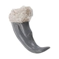 thumbnail image 1 of PAMINGONO De Resina Con Fosilizado Ideal Para Y, 1 of 8
