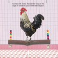 thumbnail image 1 of Macaw Swing Toy, With Hooks Non- Durable Cage Hanging Toy, Sanitary For Home, 1 of 8