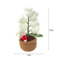 thumbnail image 3 of MERILER Soft Wool Crochet Succulent Car and Home Decorations - Cute Knitted Decorative Potted Plants with Aromatherapy Function, Perfect Gifts for Birthdays and Special Occasions., 3 of 7