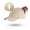 Beige, variant on HNMKIU Women's Adjustable Ponytail Baseball Cap for Running Tennis and Everyday Outdoor Activities Blue,One Size
