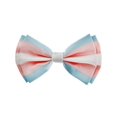 thumbnail image 5 of CTM Striped Trans Pride Bow Tie and Suspender Set, 5 of 5