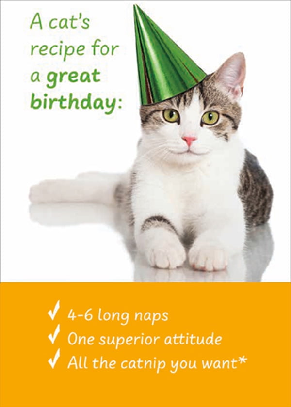 Humorous Cat Birthday Card RSVP Cat's Recipe For a Great Birthday Funny 