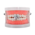 thumbnail image 2 of Unique Bargains 1 Pc Fake Grills Hip Hop Rhinestone Design Teeth Grillz Silver Tone, 2 of 6