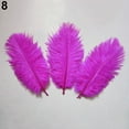 thumbnail image 5 of Walbest 15 Pcs Natural Ostrich Feathers Colored Soft Feather for Clothes Wedding Decor, 5 of 7