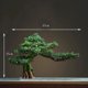 thumbnail image 1 of Home Decoration Potted DIY False Tree Bonsai Living Room Chinese Style Hotel Porch Landscape Decoration Green Plant Decoration My Lux Decor Round, 1 of 25