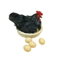 thumbnail image 2 of Almencla Simulation Hen Model Ornament Artificial Feather Prop for Kitchen Home Store black, 2 of 8