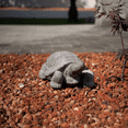 thumbnail image 2 of XBrand 16.1"L Grey Polystone Walking Turtle Statue, Indoor Outdoor Décor, Living Room Décor, Turtles Sculptures, Yard Statues, 2 of 6