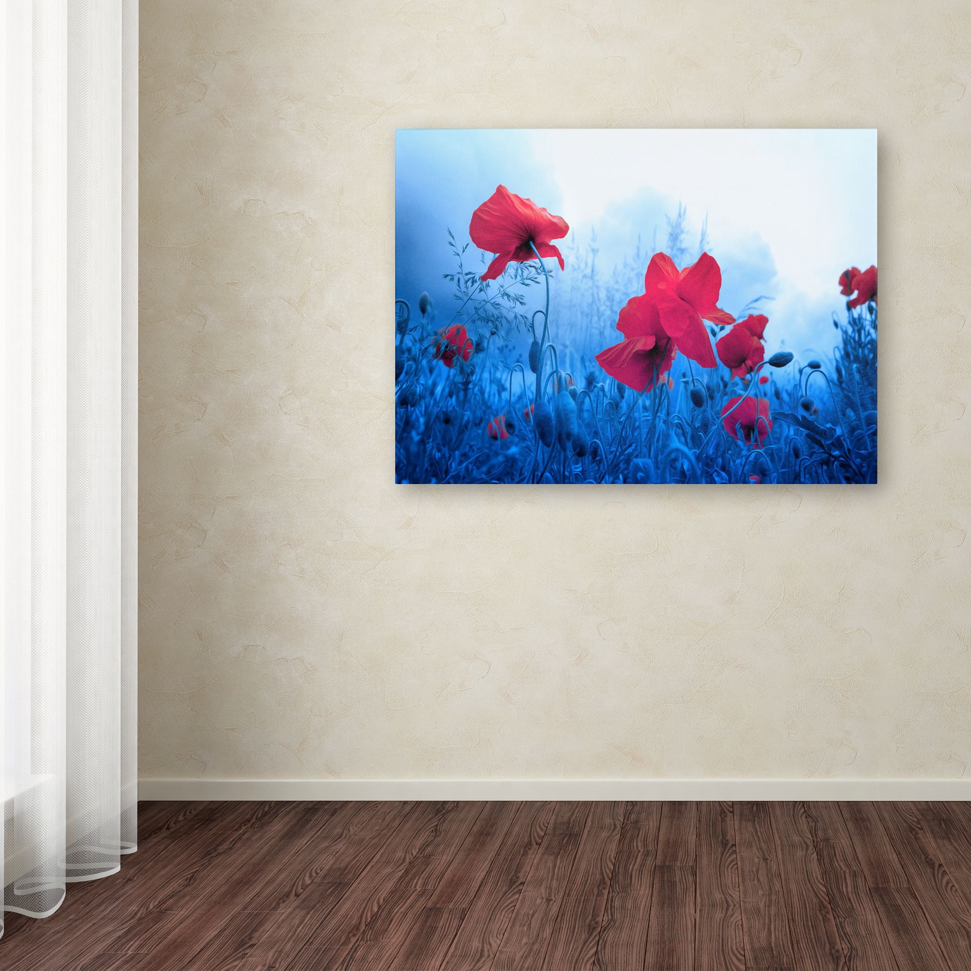 Trademark Fine Art "Jam for Poppies" Canvas Art by Philippe Sainte-Laudy