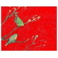 thumbnail image 1 of Great BIG Canvas | Rolled Jennifer Lommers Poster Print entitled Birds in Red, 1 of 4