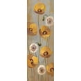thumbnail image 3 of Vassileva, Silvia 7x14 Black Modern Framed Museum Art Print Titled - Spring Poppies II, 3 of 5
