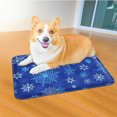 thumbnail image 3 of Gel-Filled Cooling Pad for Pets – Summer Comfort Mat with Water Refill, Portable & Durable Design for Dogs & Cats, M Size 40x50cm, Deep Blue Snowflake Pattern, 3 of 7