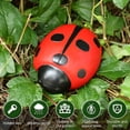 thumbnail image 3 of Ladybug Spare Keys Hider Outdoor Weatherproof Key Hiders for Garden Outdoor(Frog), 3 of 5