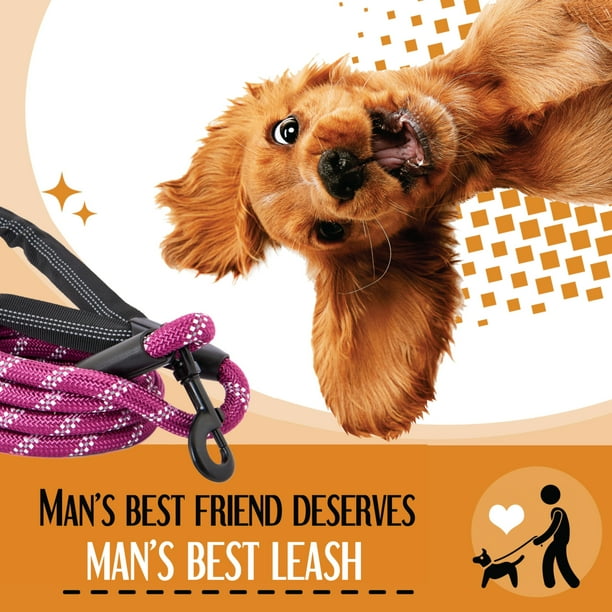 Chew resistant sale leash