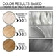 thumbnail image 5 of Gray Hair Color C, 5 of 5