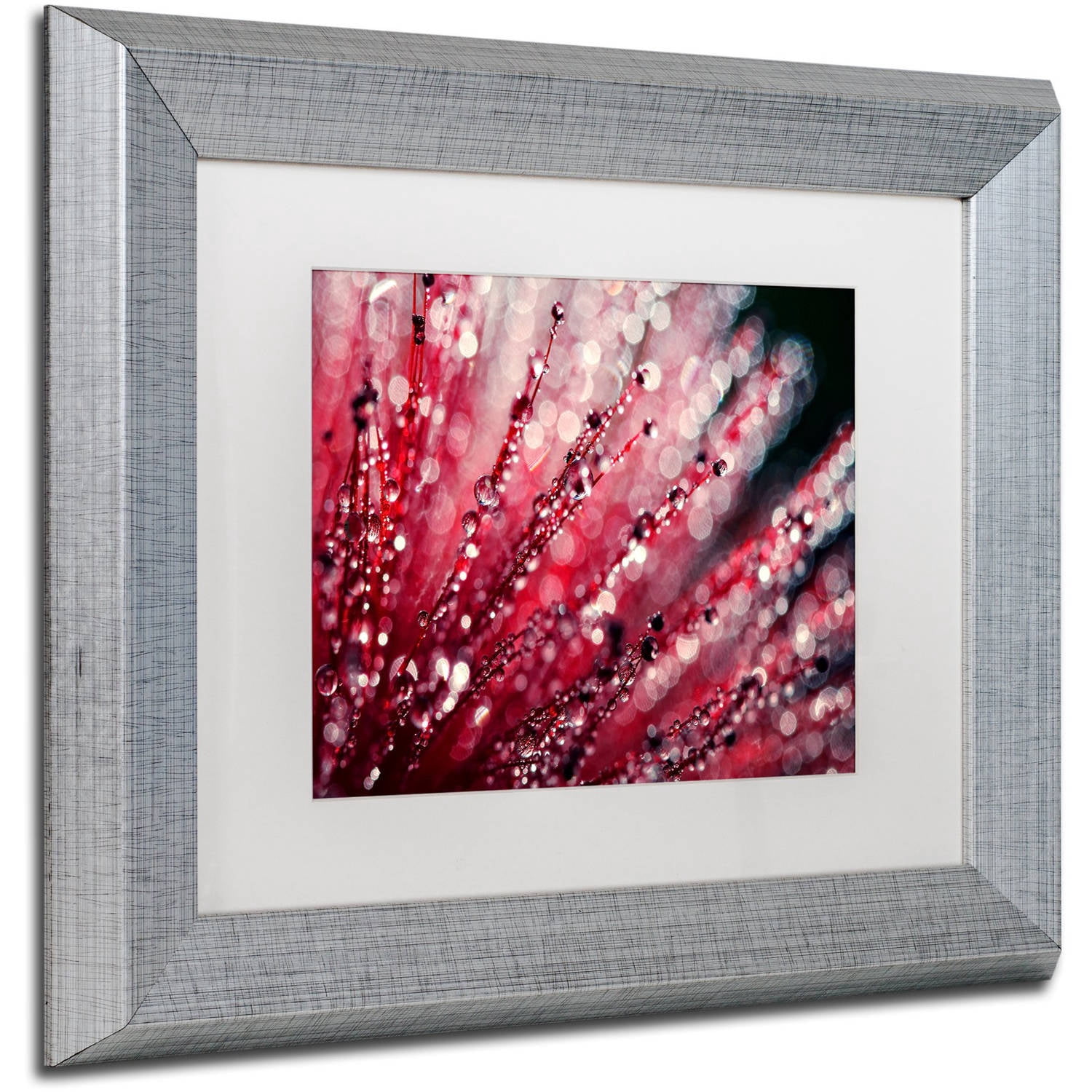 Trademark Fine Art "Sonata in Red" Canvas Art by Beata Czyzowska Young, White Matte, Silver Frame