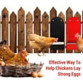 thumbnail image 4 of JUEGO DE ALIMENTOR DE POLLO, Alimentador de Concha de Ostra de Pollo Colgando una Gran Capacidad Cerrada para El Gallinero, 4 of 7