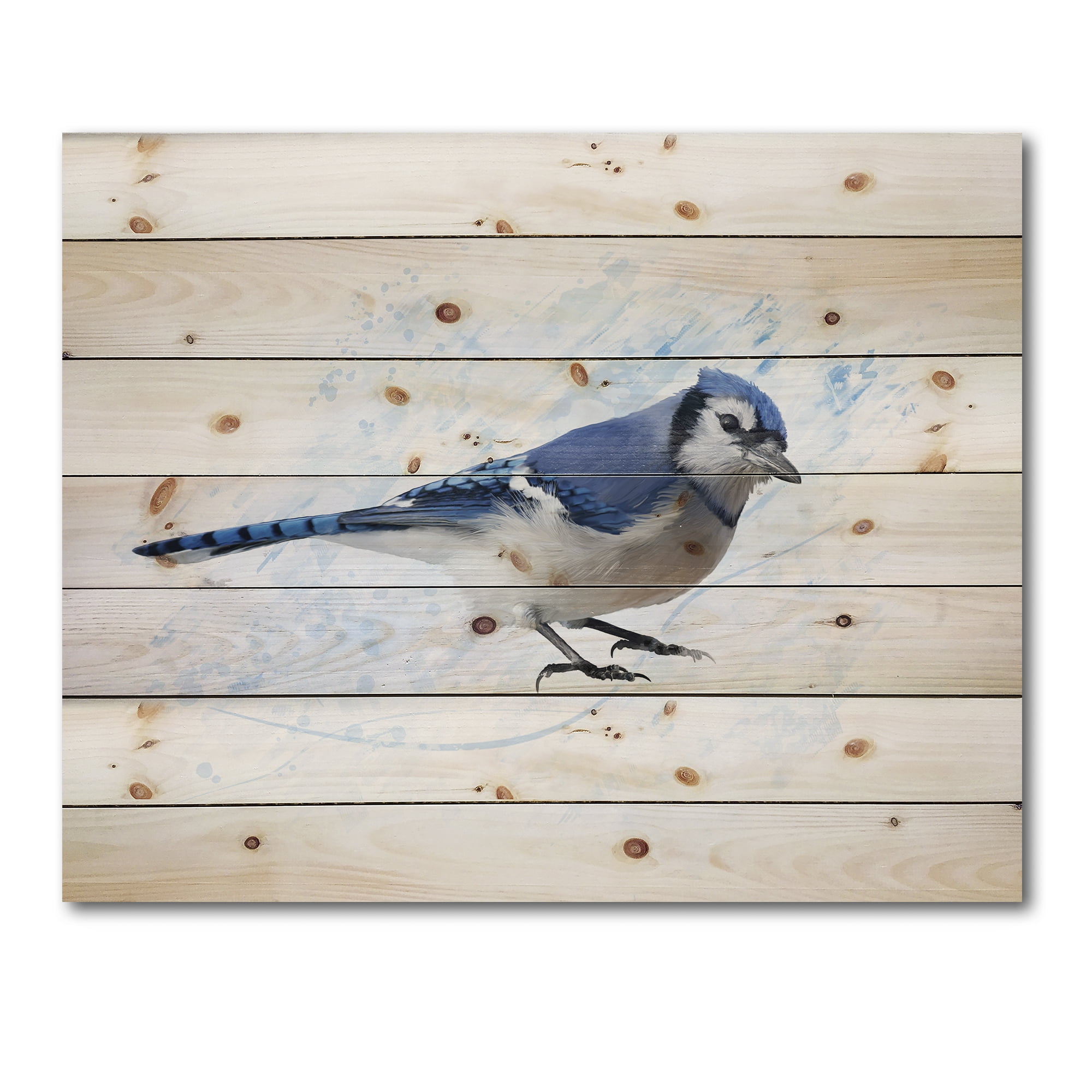 Designart 'Ancient Blue Jay Bird' Traditional Print on Natural Pine Wood