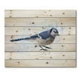 thumbnail image 3 of Designart 'Ancient Blue Jay Bird' Traditional Print on Natural Pine Wood, 3 of 5