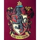 thumbnail image 3 of Conjunto de Pijama para Niñas INTIMO Harry Potter Gryffindor 18/20, 3 of 7