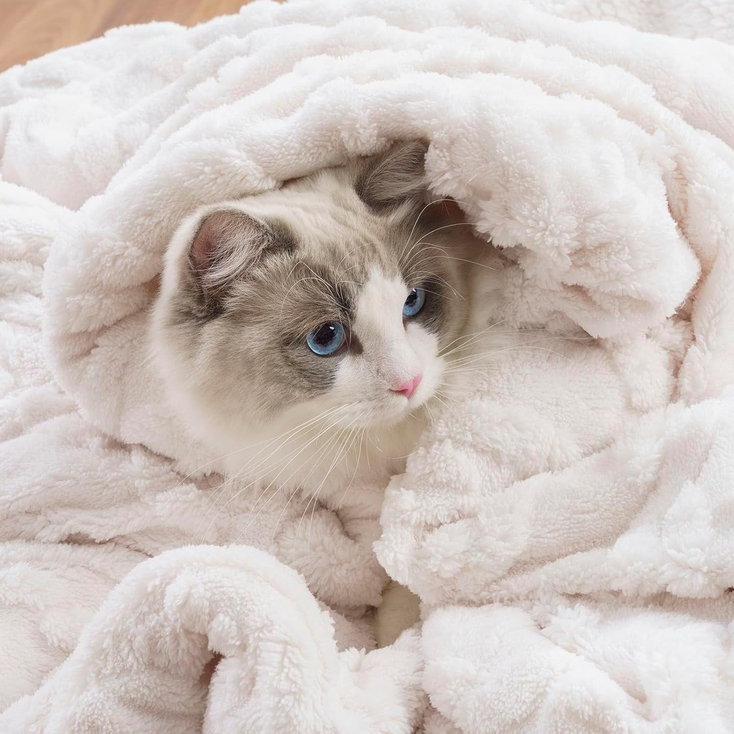 EVERGRACE Classic Cable Jacquard Sherpa Fleece Throw Blanket for Couch, Soft Cozy Fuzzy Plush Blankets for All Seasons, Reversible Thick Warm Blanket for Bed, Sofa, Bleach White, 50'' x 60''