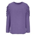 thumbnail image 5 of Lenpel Women's T Shirts Pleated Long Sleeve Crew Neck Solid Color Fleece Warm Dressy Casual Tunic Tops Loose Tee Blouses(Purple,XX-Large), 5 of 7