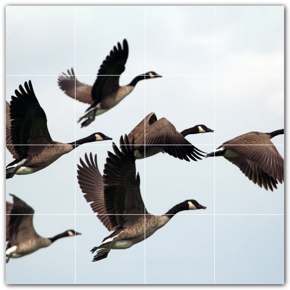 Picture-Tiles.com: Bird Ceramic Tile Wall Mural WAL500148-44XL. 48"W x 48"H using (16) 12" x 12" Ceramic Tiles-Satin Finish