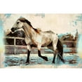 thumbnail image 3 of Bolokofsky, Ronald 18x13 Black Modern Framed Museum Art Print Titled - Arabian Trot II, 3 of 5