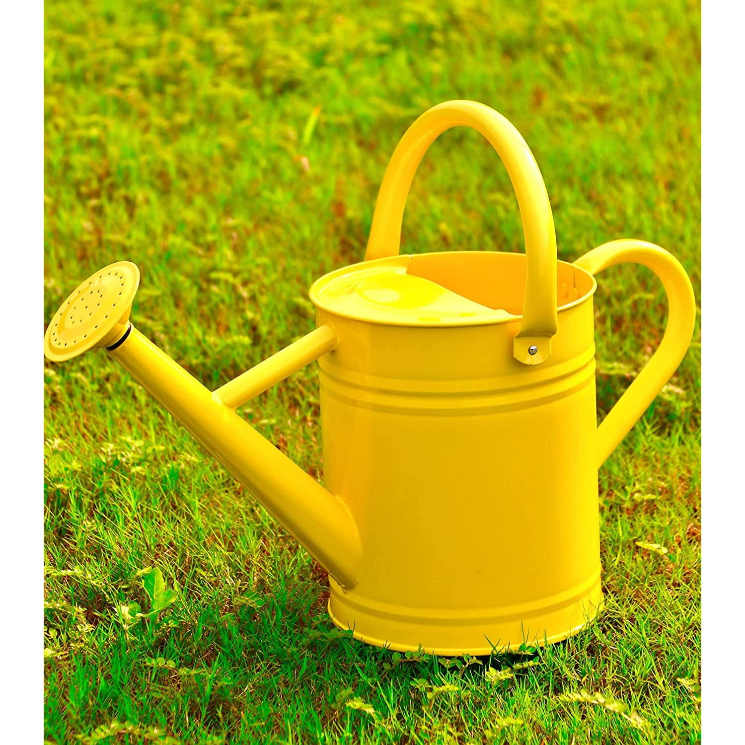 CintBllTer Watering Can for Outdoor Plants，1 Gallon Metal Plant
