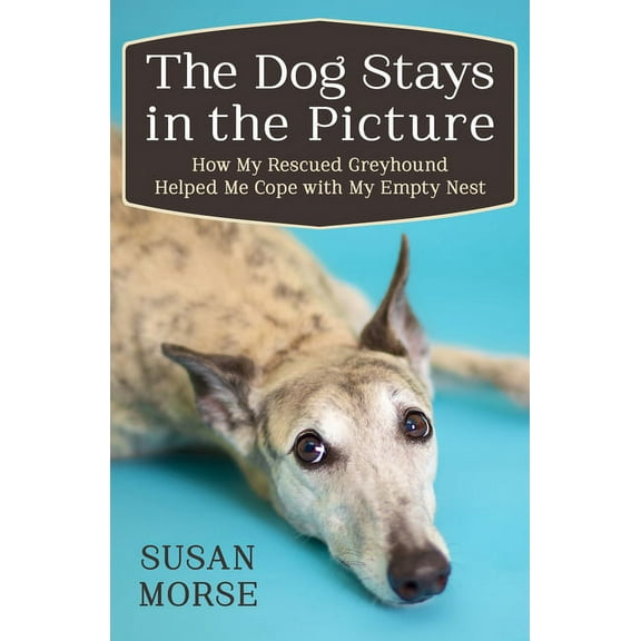 The Dog Stays in the Picture : How My Rescued Greyhound Helped Me Cope with My Empty Nest (Paperback)