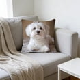 thumbnail image 1 of ddioayh Throw Pillow Cover Animal Print Soft Machine Washable 45x45cm for Sofa Chair Bedroom Home Decor Spring Easter Pet Theme Decorative Gift Idea, 1 of 6