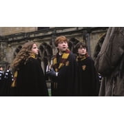 Harry Potter Complete 8-Film Collection Box set (DVD)